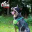 Ancol Medium Extreme Hybrid Harness in Field Green
