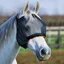 Equilibrium Field Relief Midi Fly Mask Without Ears in Black/Orange