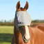 Equilibrium Field Relief Midi Fly Mask Without Ears in Grey/Yellow