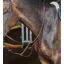 Whitaker Barton Martingale in Brown