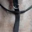 Whitaker Ready To Ride Full Martingale in Black