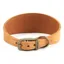 Ancol 34-43cm Timberwolf Hound Collar - Mustard