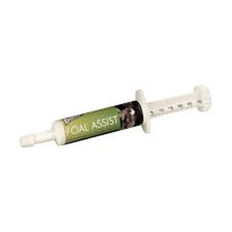 Baileys Foal Assist Syringe - 30cc